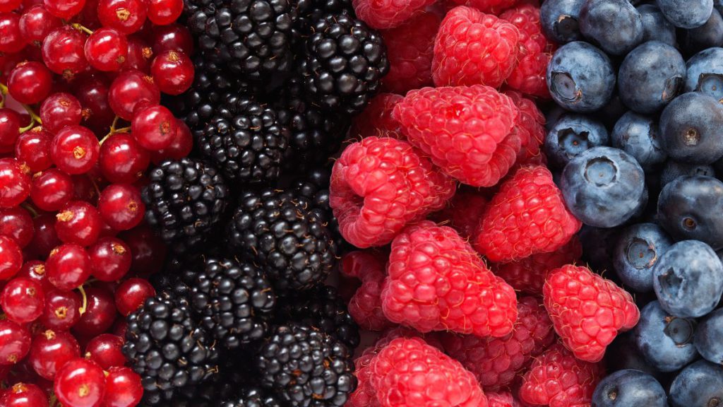 Are berries safe to eat? How worried should I be about the pesticide dimethoate? 2 Copy of Untitled 1200 x 675 px 8 1 1