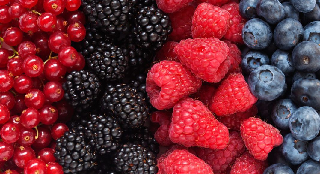 Representative image: Berries (Source: CANVA)