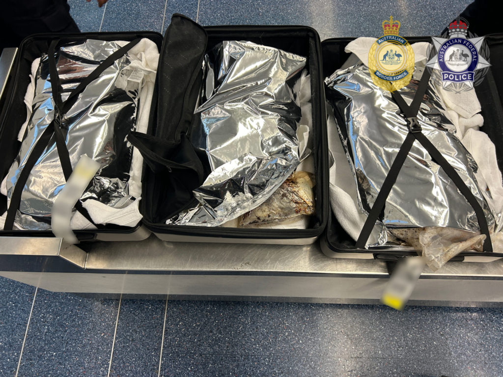 Methamphetamine import at Sydney Airport3 3