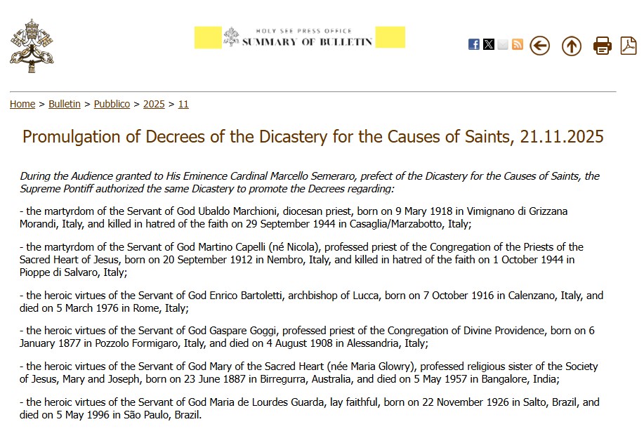 Screenshot 2025 11 29 202719 15