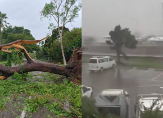 Massive clean-up begins as Cyclone Fina leaves thousands without power in the top end