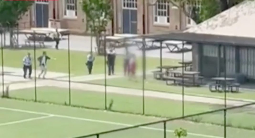 Image Source: 9 News Video