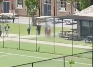 Image Source: 9 News Video