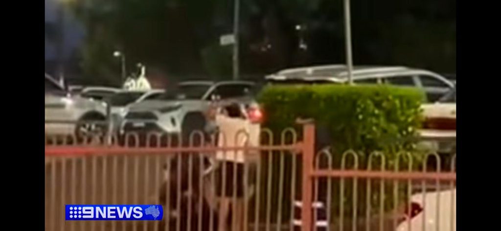 WhatsApp Image 2025 11 15 at 4.51.10 PM 1 4