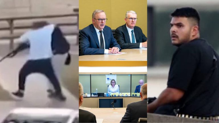 Why can someone in suburban Sydney own 6 guns legally? New laws might change that