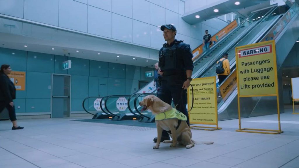 Copy of Untitled 1200 x 675 px 2 1 15 1