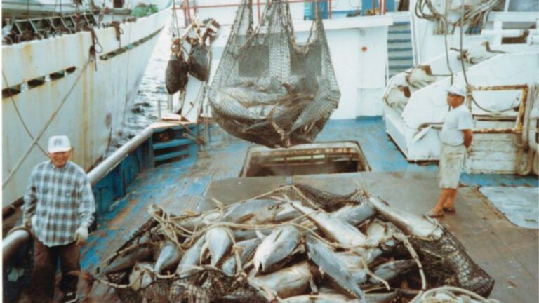 The Pacific growth spurt