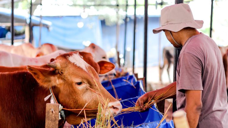 The way Australia produces food is unique. Our updated dietary guidelines have to recognise this