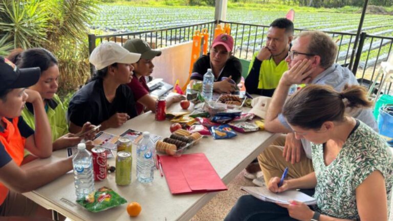 The PALM and RSE schemes: employer and worker perspectives