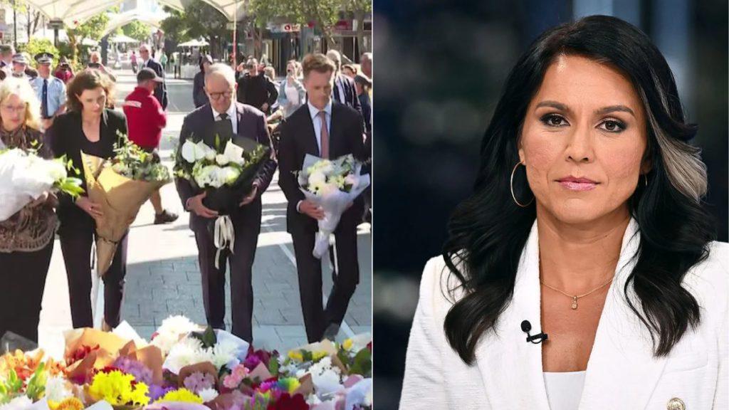 US intelligence chief calls Bondi shooting an ‘Islamist terror attack’, warns Australia may be ‘too late’ 2 Copy of Untitled 1200 x 675 px 3 12 1