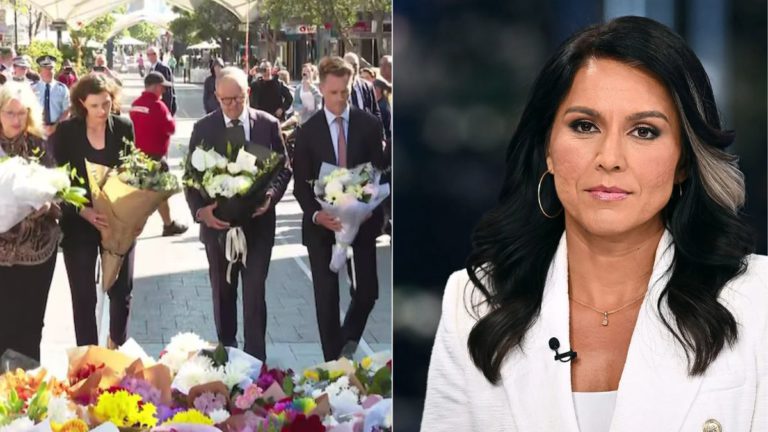 US intelligence chief calls Bondi shooting an ‘Islamist terror attack’, warns Australia may be ‘too late’