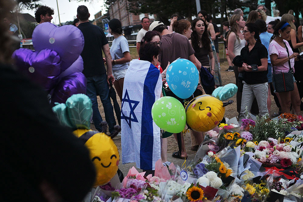 DSC 2203 ┬⌐ Raj Suri 2025 7