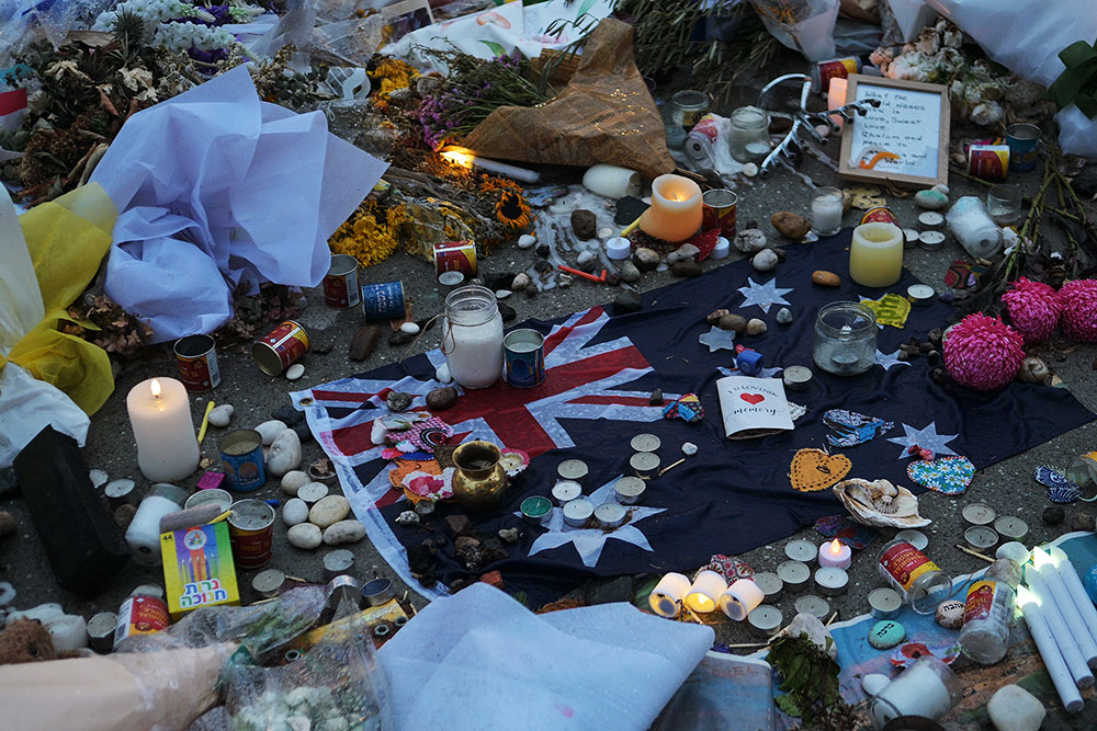 DSC 2364 ┬⌐ Raj Suri 2025 6