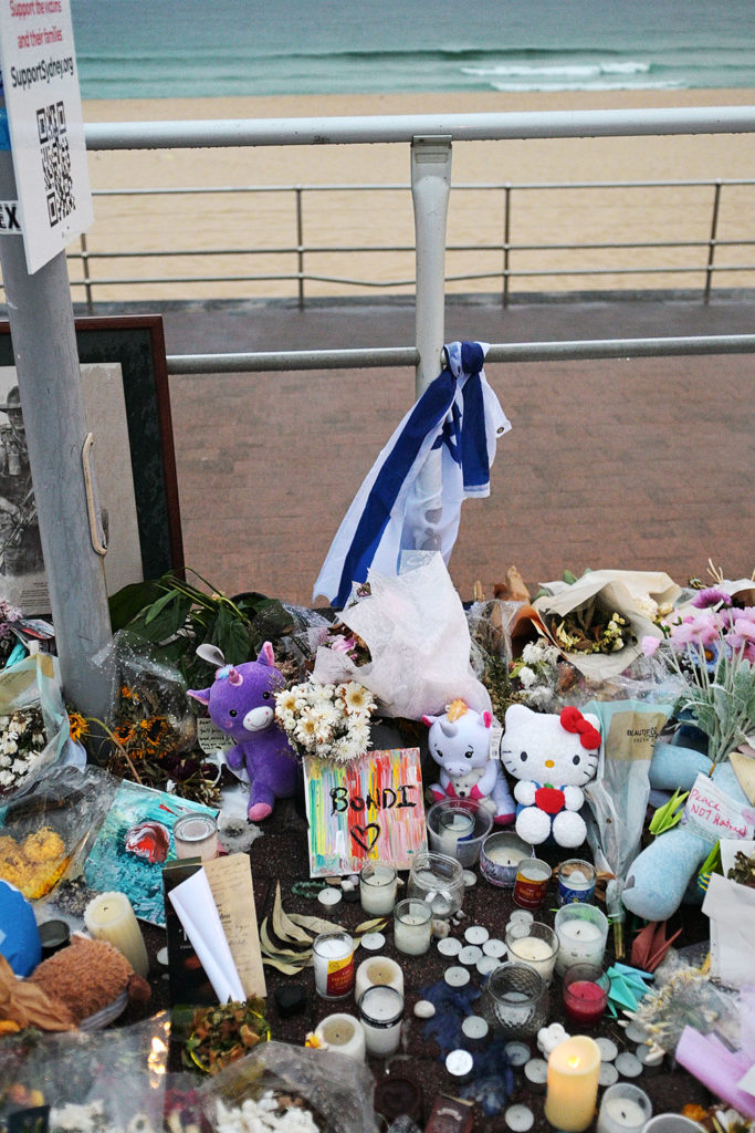 DSC 2410 ┬⌐ Raj Suri 2025 5