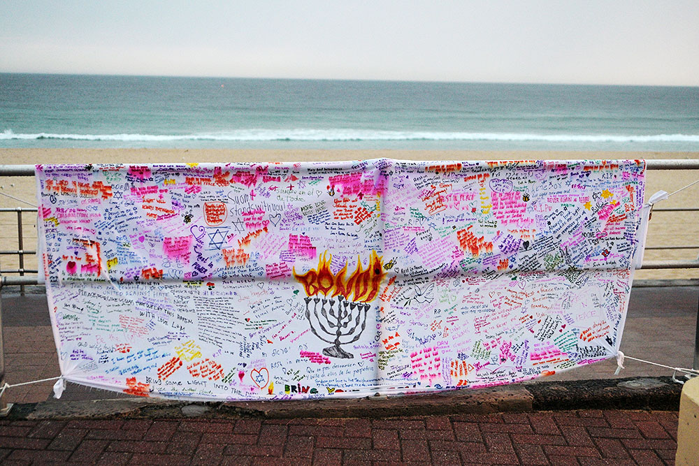 DSC 2431 ┬⌐ Raj Suri 2025 20