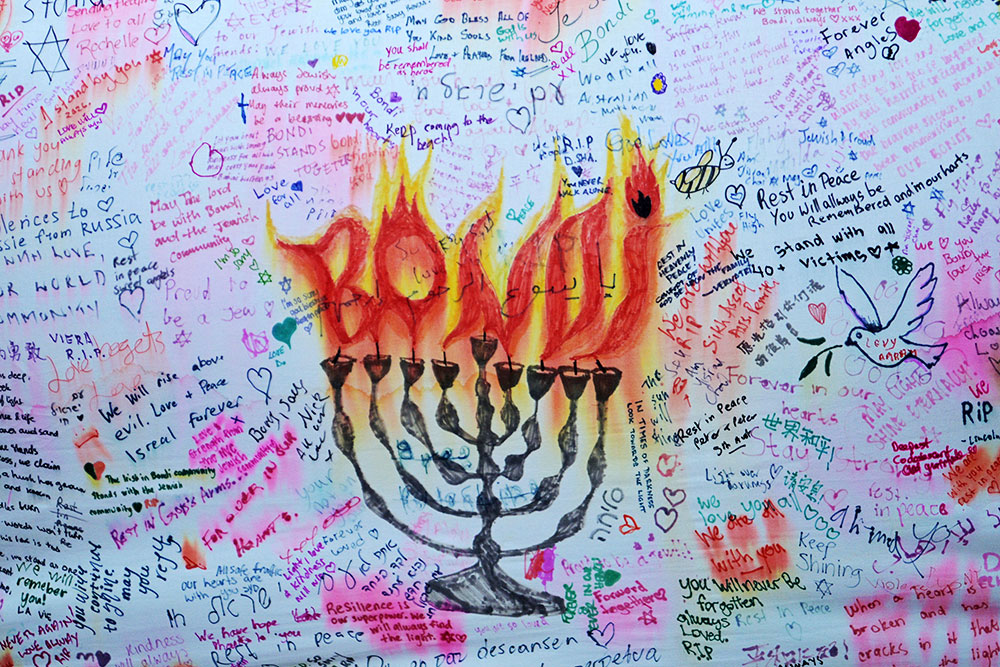 DSC 3530 ┬⌐ Raj Suri 2025 15