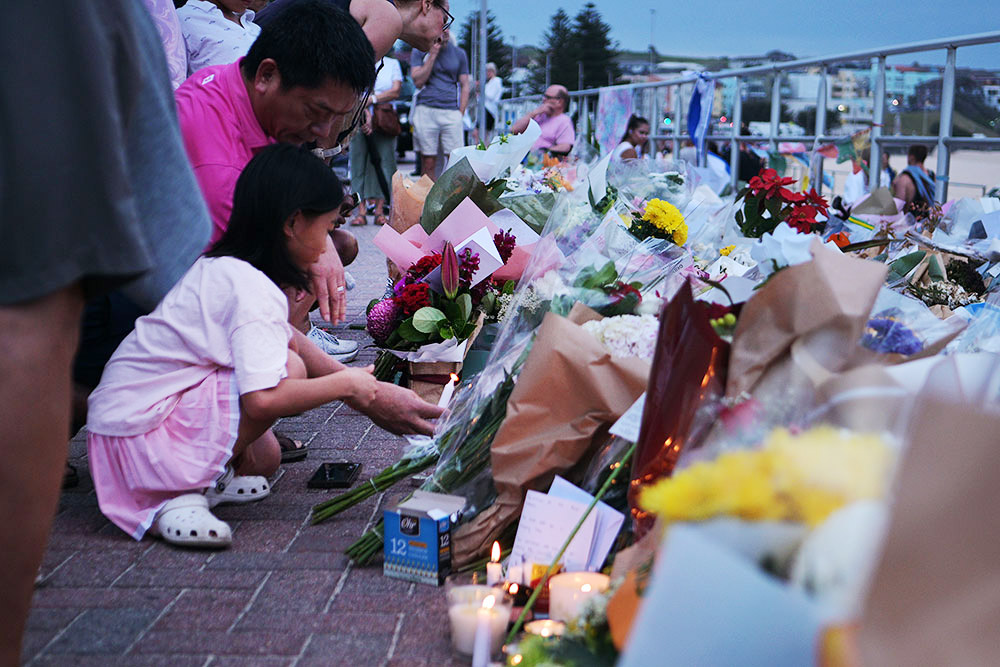 DSC 3552 ┬⌐ Raj Suri 2025 8