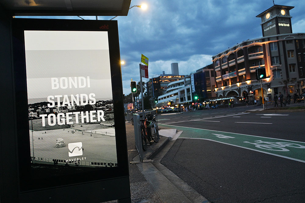 DSC 3586 ┬⌐ Raj Suri 2025 14