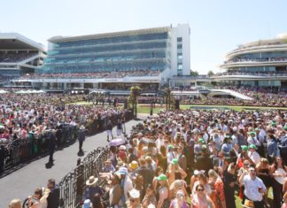 Australia’s temporary visa population hits record 2.93 million, sparking pressure on Albanese government Melbourne Cup; Image Source- X:@TimRichardsonMP