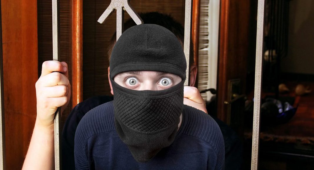 Image Source: CANVA Image Source: CANVA