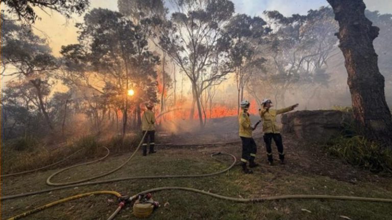 Firefighter killed battling Mid North Coast blaze as bushfire-hit communities offered disaster aid