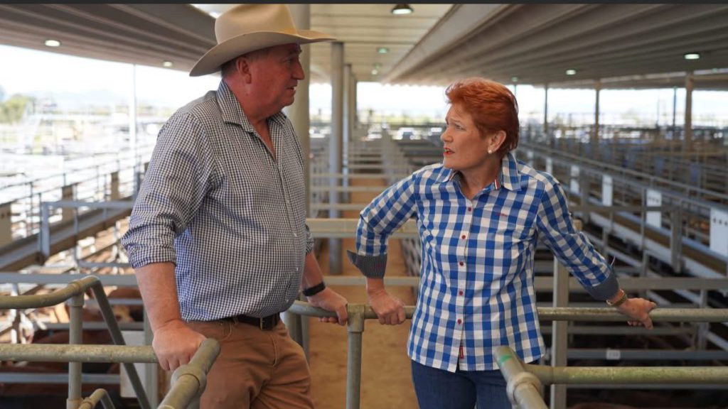 Image Source: Pauline Hanson/X