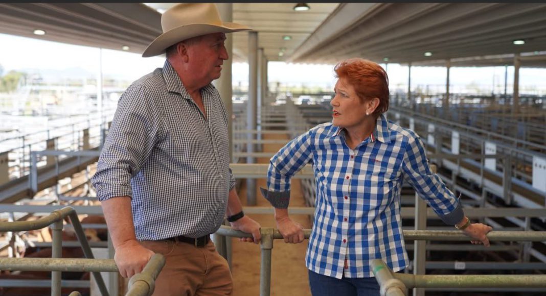 Image Source: Pauline Hanson/X Image Source: Pauline Hanson/X