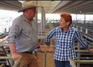 Barnaby Joyce joins One Nation to run as NSW Senate candidate in 2028 Image Source: Pauline Hanson/X