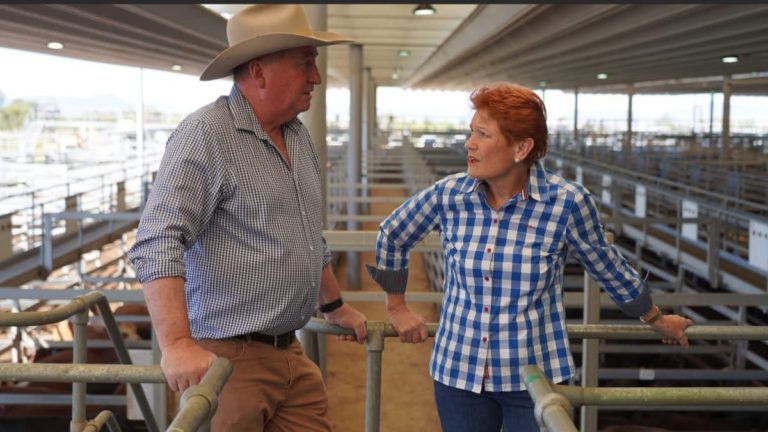 Barnaby Joyce joins One Nation to run as NSW Senate candidate in 2028