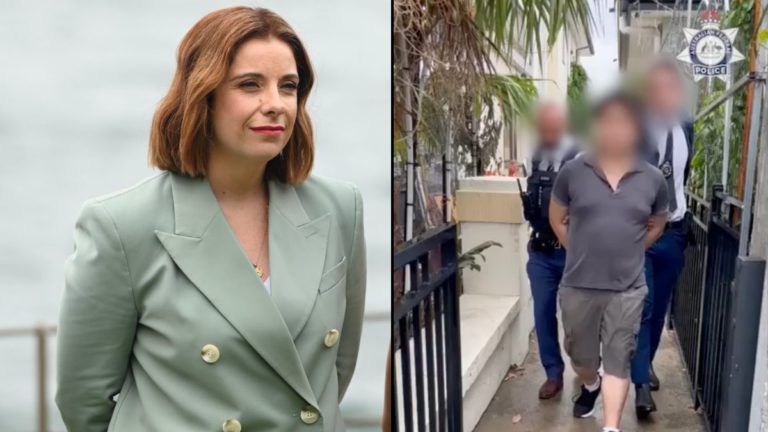 31-year-old Sydney man charged over alleged death threats to Minister Anika Wells