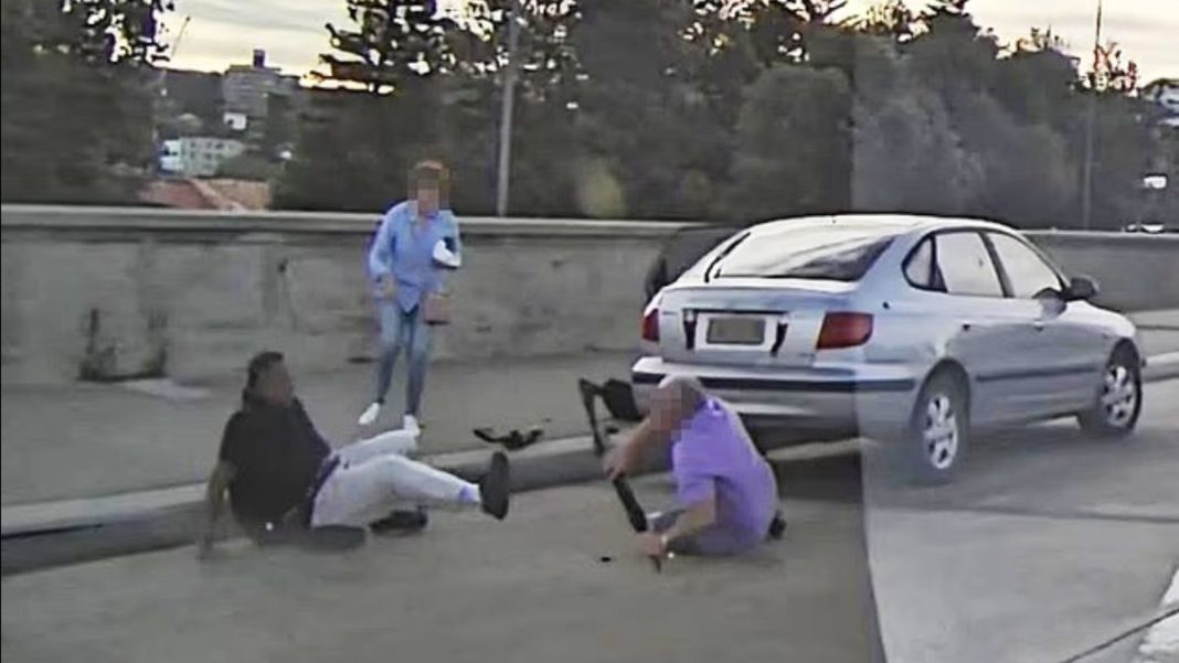 Image Source: Daily Mail video