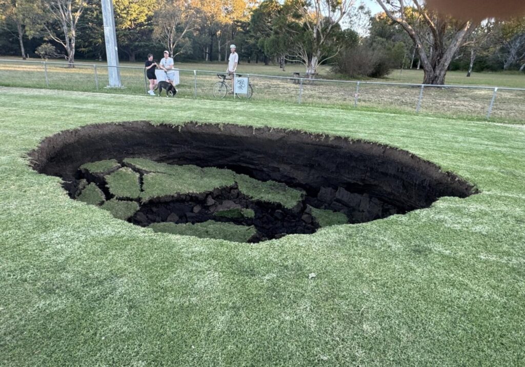 Image Source- Warringal Conservation Society