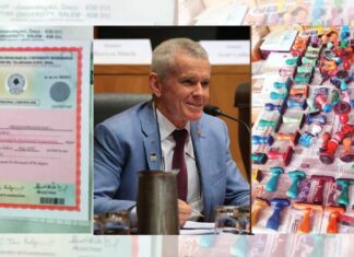 One Nation senator links Indian fake degree bust to Australia’s visa integrity concerns