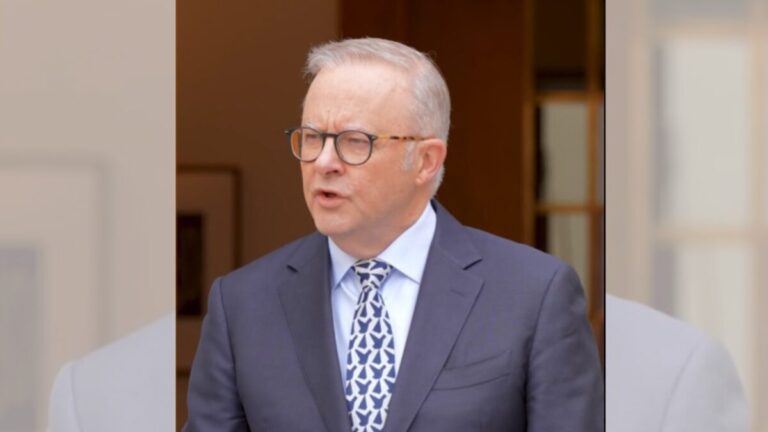 Albanese dismisses Morrison criticism after hate and gun laws pass