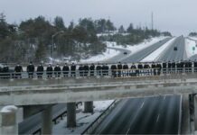 ‘Indian trucks kill Canucks’ banner sparks outrage at Canadian overpass protest against migrant drivers