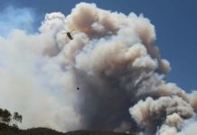 How to protect yourself from bushfire smoke