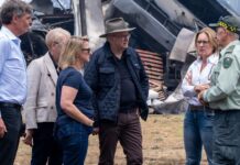 Image Source: X/@Albo