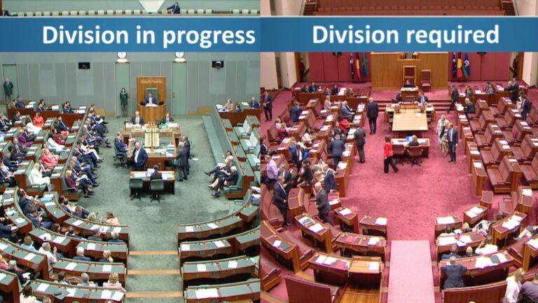 Anti-hate laws pass parliament in late-night sitting as political divisions emerge