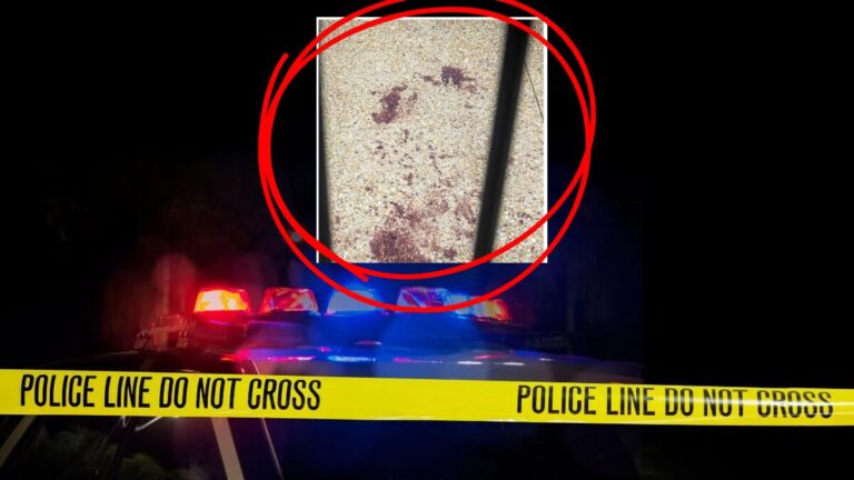 Melbourne doctor’s teen daughter stabbed 11 times outside family home in frenzied attack