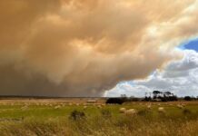 Image Source: Supplied