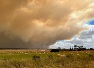 Otways bushfire: 1,100-plus properties told to evacuate before Tuesday’s extreme fire weather Image Source: Supplied