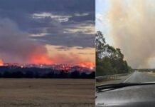 State of disaster declared for 18 Victorian councils as bushfires burn across the state
