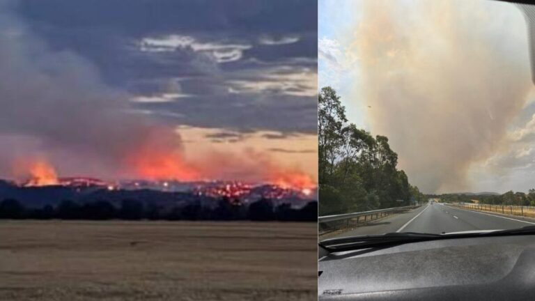 State of disaster declared for 18 Victorian councils as bushfires burn across the state