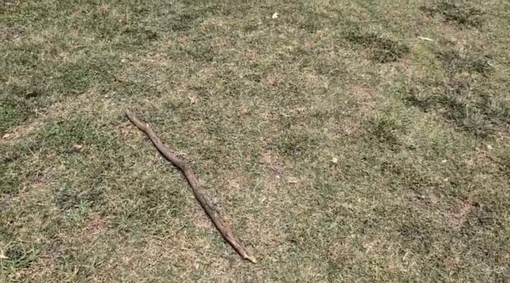 WhatsApp Image 2026 01 20 at 4.01.48 AM 2