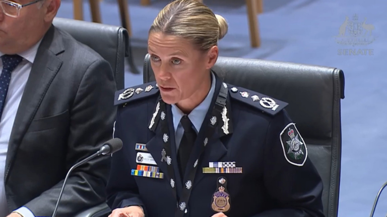 ‘Your life will become very uncomfortable’: AFP chief warns extremists and hate groups