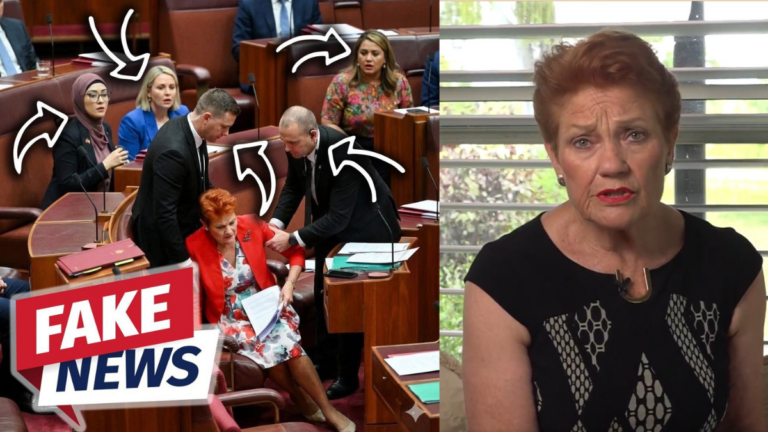 Pauline Hanson slams AI ‘fake fall’ rumour and bogus $100m donation claim