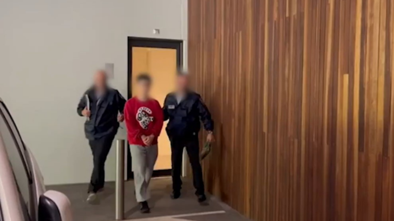 Chinese nationals charged over alleged spy plot in nation’s capital