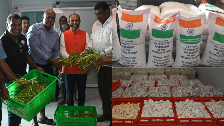 India’s cowpea seed support leads to Fiji farmers’ global export success