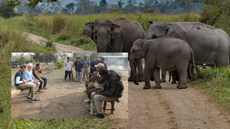 Australian experts help transform elephant welfare and training in India’s Assam