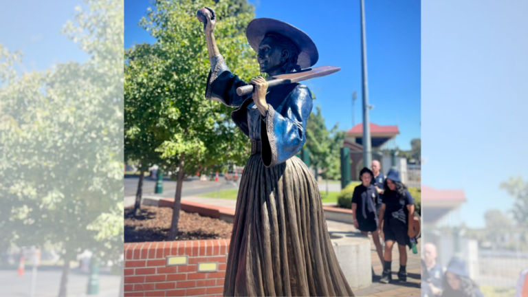 Bendigo cricket pioneer Barbara Rae honoured with bronze sculpture at historic oval
